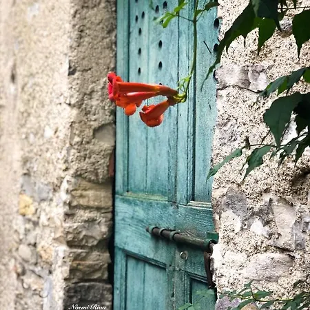 公寓 Ca Al Borgo